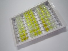 ELISA Kit for Transmembrane Protease, Serine 6 (TMPRSS6)