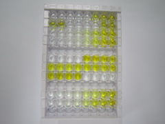ELISA Kit for Corin (CRN)