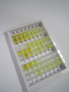 ELISA Kit for Glycine Dehydrogenase (GLDC)