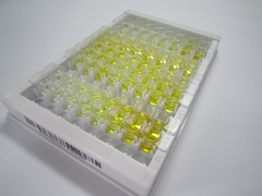 ELISA Kit for UDP Glucuronosyltransferase 1 Family, Polypeptide A1 (UGT1A1)