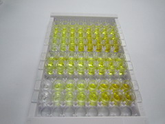 ELISA Kit for Transketolase (TKT)