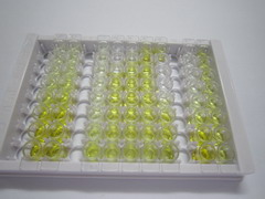 ELISA Kit for Protamine 2 (PRM2)