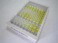 ELISA Kit for Internexin Neuronal Intermediate Filament Protein Alpha (INa)