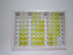 ELISA Kit for Huntingtin (HTT)