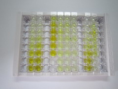 ELISA Kit for Fructosamine-3-Kinase (FN3K)
