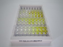 ELISA Kit for Beclin 1 (BECN1)