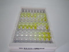 ELISA Kit for AE Binding Protein 1 (AEBP1)