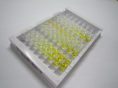 ELISA Kit for GLI Family Zinc Finger Protein 1 (GLI1)