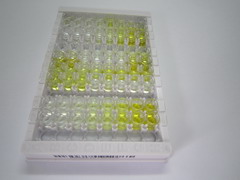 ELISA Kit for Fibroblast Growth Factor 15 (FGF15)