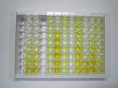 ELISA Kit for C-Type Lectin Domain Family 7, Member A (CLEC7A)