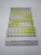 ELISA Kit for Semaphorin 3E (SEMA3E)