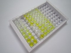 ELISA Kit for R-Spondin 3 (RSPO3)