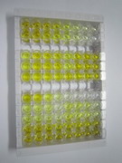 ELISA Kit for Angiopoietin Like Protein 6 (ANGPTL6)