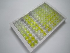 ELISA Kit for Collagen Triple Helix Repeat Containing Protein 1 (CTHRC1)