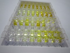 ELISA Kit for Poly A Binding Protein Cytoplasmic 1 Like Protein (PABPC1L)