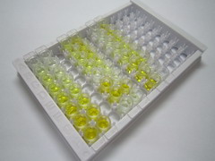 ELISA Kit for Complement Component 4d (C4d)