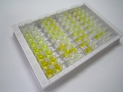 ELISA Kit for Complement Component 4c (C4c)