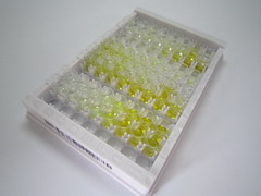 ELISA Kit for Superoxide Dismutases (SOD)