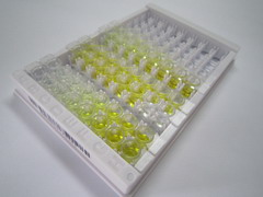 ELISA Kit for Neuron Derived Neurotrophic Factor (NDNF)