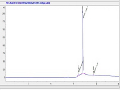 Synthetic FLAG Octapeptide (FLAG)