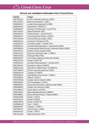 Knock-out validated antibodies from Cloud-Clone