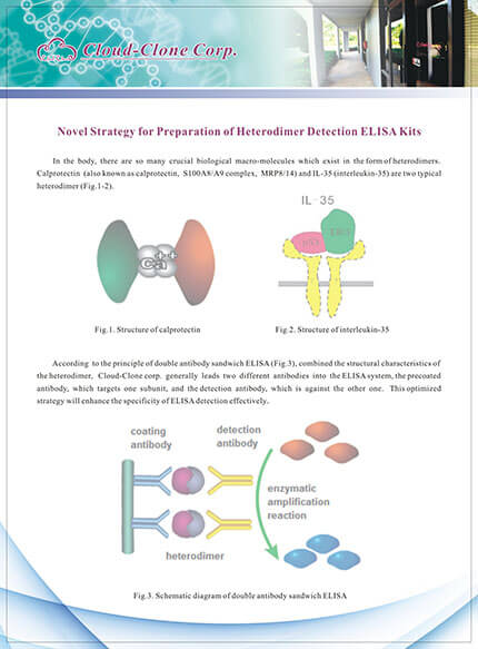 Novel Strategy for Preparation of Heterodimer Detection ELISA Kits