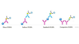 ELISA Kit Customized Service