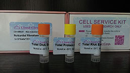 Total Protein/DNA/RNA Extract Customized Service