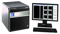 Flow Cytometry (FCM) Experiment Service