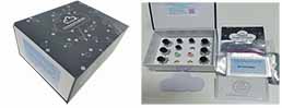 Multiplex Assay Kit for Interleukin 17 (IL17) ,etc. by FLIA (Flow Luminescence Immunoassay)