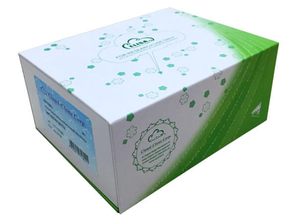 ELISA Kit for Cathepsin A (CTSA)