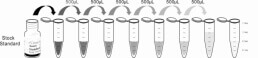 ELISA Kit for Leptin (LEP)