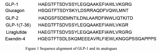 GLP-1--a Pioneer of Diabetes Drugs
