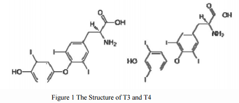 Enzyme-linked Immunosorbent Assay Kit For Triiodothyronine and Thyroid Hormones